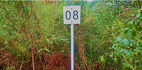 Category E Boundary Markers